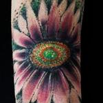 Tattoos - Gazania - 134315