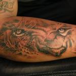 Tattoos - Pride - 116143