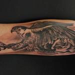 Tattoos - Peregrine - 132806