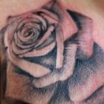 Tattoos - Rose 34 1/4 - 138104