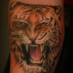 Tattoos - Tiger Rage - 116131