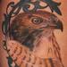 Tattoos - Hawk - 76920