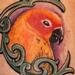 Tattoos - Parrot - 76916