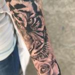 Tattoos - Eye of the tiger - 129463