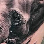 Tattoos - Elephant - 129465