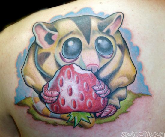 GliderGossip  Tattoo Ideasphoto dump  Sugar glider Sugar glider pet  Animal drawings