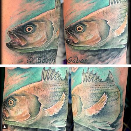 Tattoos - realistic color bass tattoo on wrist - 131410