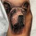 Tattoos - Peruvian Hairless dog - 70188