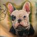 Tattoos - French Bulldog Portrait - 77434