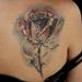 Tattoos - Healed Rose - 72682