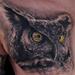 Tattoos - Owl tattoo - healed - 64216