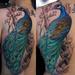 Tattoos - Peacock tattoo - 65116