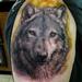 Tattoos - Wolf - 67961