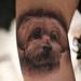 Tattoos - Memorial Dog Portrait - 77125