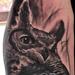 Tattoos - OWL Cover up - 61000