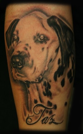 Tattoos - Dalmatian Portrait Tattoo - 41971