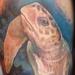 Tattoos - 3D Sea Turtle Tattoo - 93290
