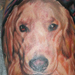 Tattoos - Bob's Dog - 26598