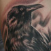 Tattoos - Black Crow - 27915