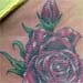 Tattoos - Red rose - 20956