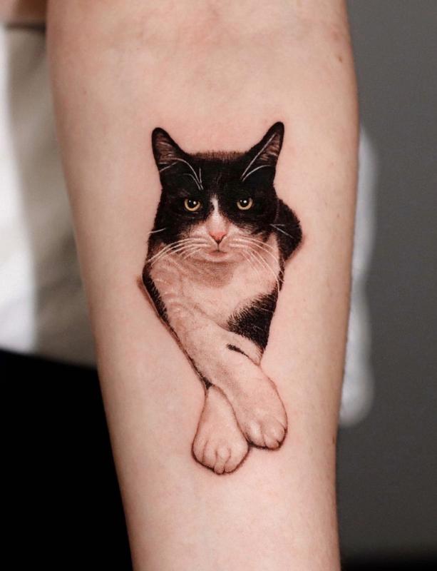 Buy Cat Drawing set of 2 Temporary Tattoo Online in India  Etsy