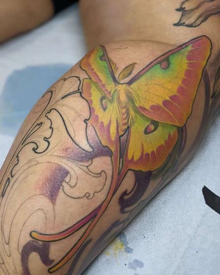 Tattoos - Colorful Moth - 144235