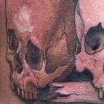 Tattoos - Collective Skulls - 143595