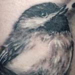 Tattoos - Bird - 103965