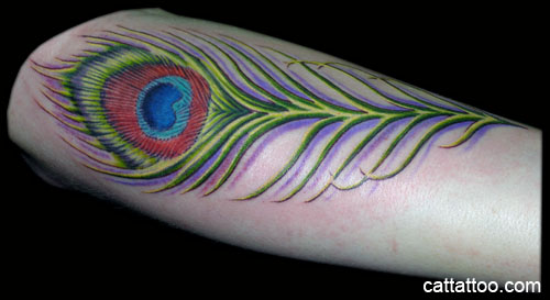 Tattoos - Peacock Feather - 27941