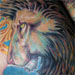 Tattoos - Lion Coverup - 19162