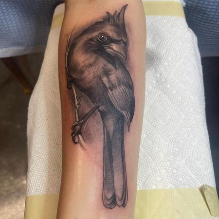 Tommy Helm - Bird Tattoo