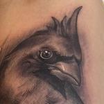 Tattoos - Bird Tattoo - 145158
