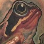 Tattoos - Frog tattoo - 122595