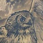 Tattoos - Flying Owl - 100679
