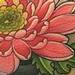 Tattoos - Chrysanthemum - 70324