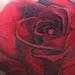 Tattoos - Rose zoom - 59594
