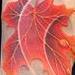 Tattoos - Maple leaves  - 59595