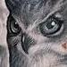 Tattoos - Owl - 65719