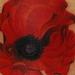 Tattoos - Poppy flower - 60474