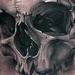 Tattoos - Skull and rose - 59865