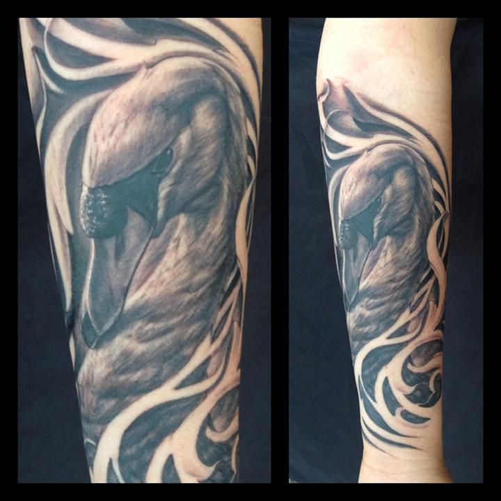 White And Black Swan Tattoos And HistorySwan Tattoo MeaningsSwan Tattoo  Designs And Ideas  HubPages