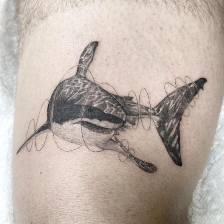 Tattoos - Shark - 143698