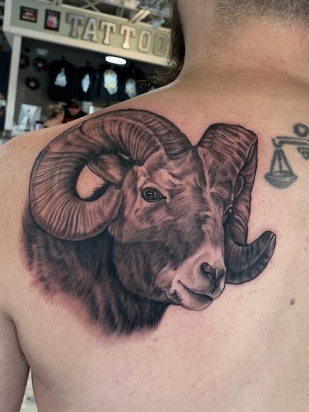 Tattoos - Ram on shoulder - 139744