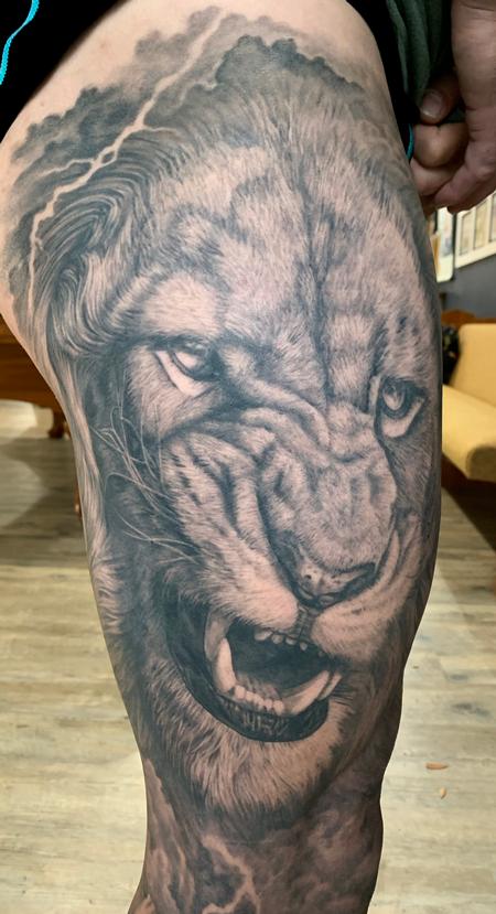 Lion Close up