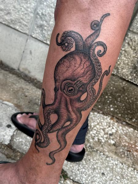 Octopus