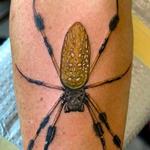 Tattoos - Banana Spider Tattoo - 146048