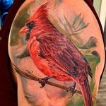 Tattoos - Cardinal Tattoo - 146049