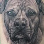 Tattoos - Dog Portrait - 129358