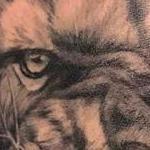 Tattoos - Lion & Bull - 134814