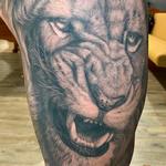 Tattoos - Lion Close up - 141652